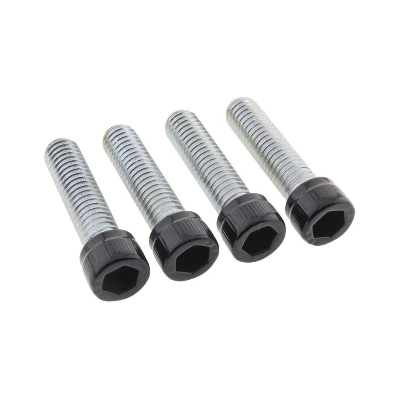 Skruvsats fotpinnar förare Screws4Bikes