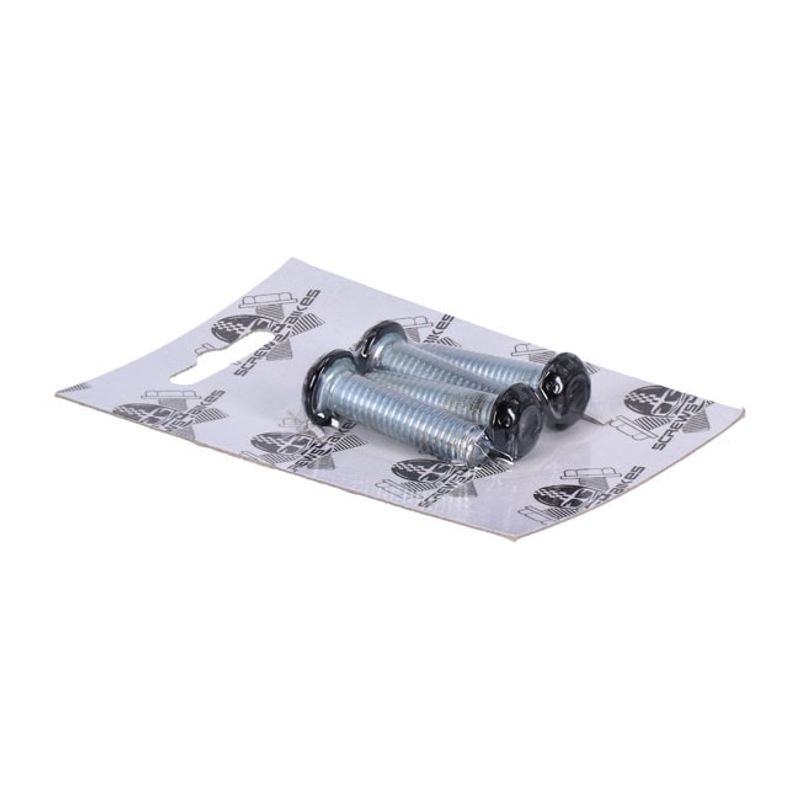 Skruvsats fram Screws4Bikes 4x SH blank svart stål XL Sportster 04-20 GK.HD.4.sw