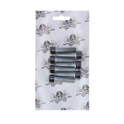 Skruvsats fram Screws4Bikes 6x SH blank svart XL Sportster 04-20