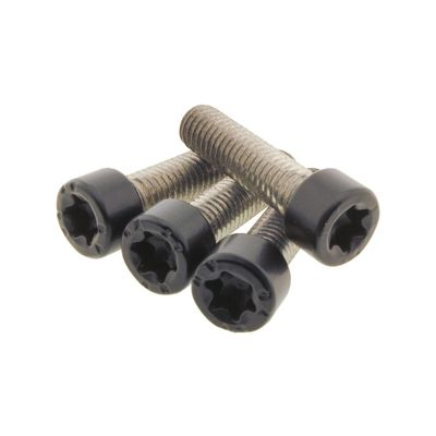 Skruvsats Screws4Bikes RH1250S Sportster S 21-23