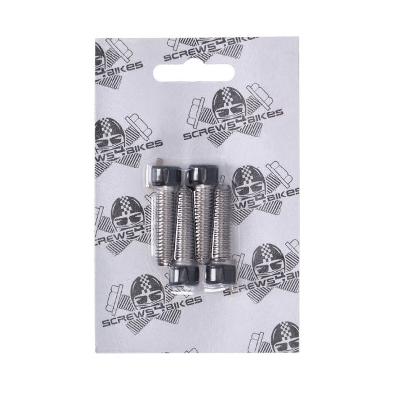 Skruvsats Screws4Bikes matt svart LK.HD.3.swm