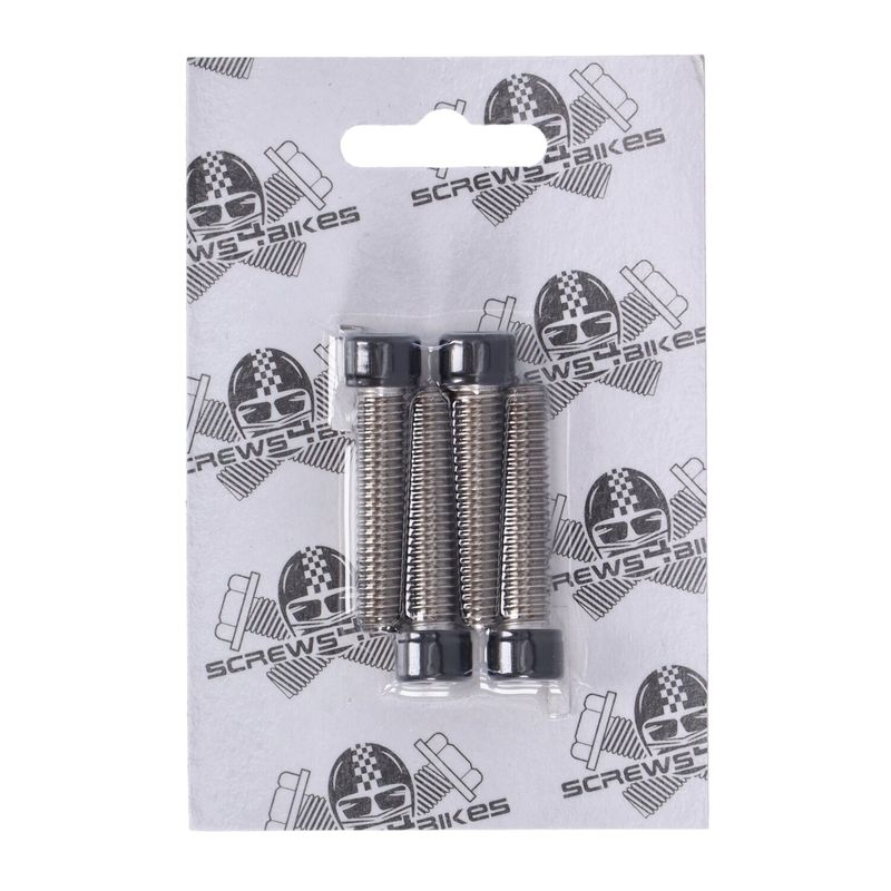 Skruvsats Screws4Bikes matt svart LK.HD.5.swm