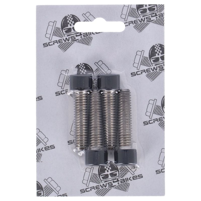 Bultsats Screws4Bikes Softail FLSTF/B/BS Fat Boy m.fl. mattsvart