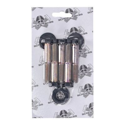 Skruvsats Screws4Bikes blank stål Softail 07-26 PU.HD.2.sw
