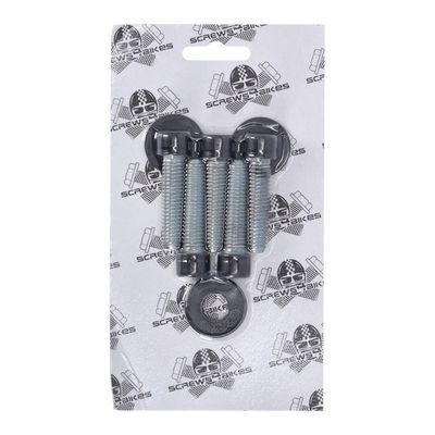 Bultsats Screws4Bikes stål Softail matt