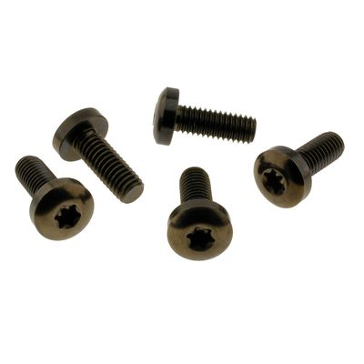Skruvsats bromsskiva bak Screws4Bikes Titan blank svart H-D 92-24