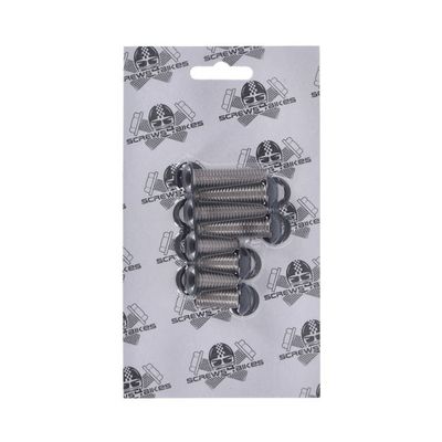 Bultsats Screws4Bikes Struts Softail 07-17 matt