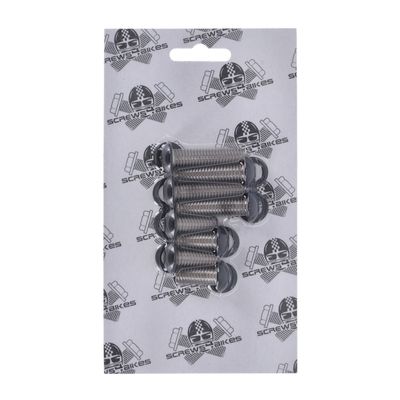 Bultsats Screws4Bikes Struts Softail 07-17 matt