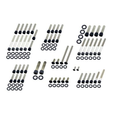 Bultsats Screws4Bikes 1999 Evo Big Twin matt
