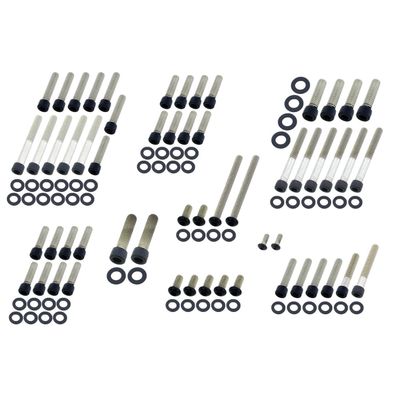 Bultsats Screws4Bikes 1999 Evo Big Twin matt