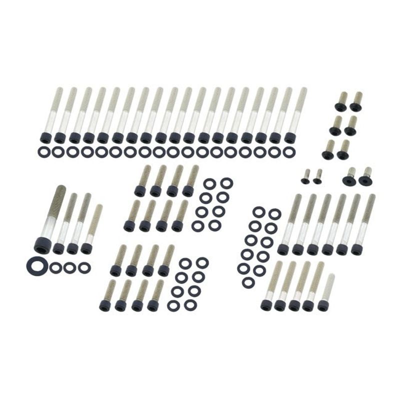 Bultsats Screws4Bikes XL Sportster 883/1200 04-20 matt
