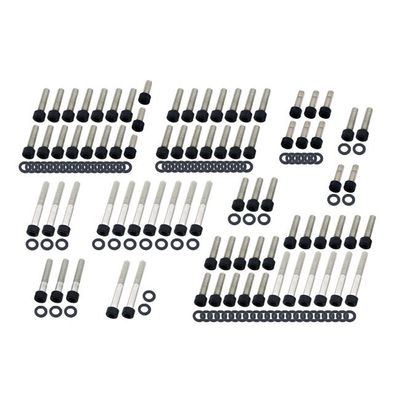 Bultsats Screws4Bikes V-Rod 02-17 matt