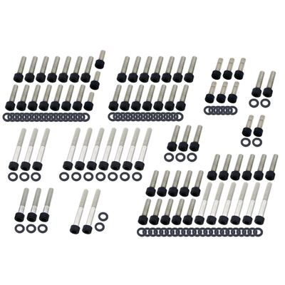 Bultsats Screws4Bikes V-Rod 02-17 matt