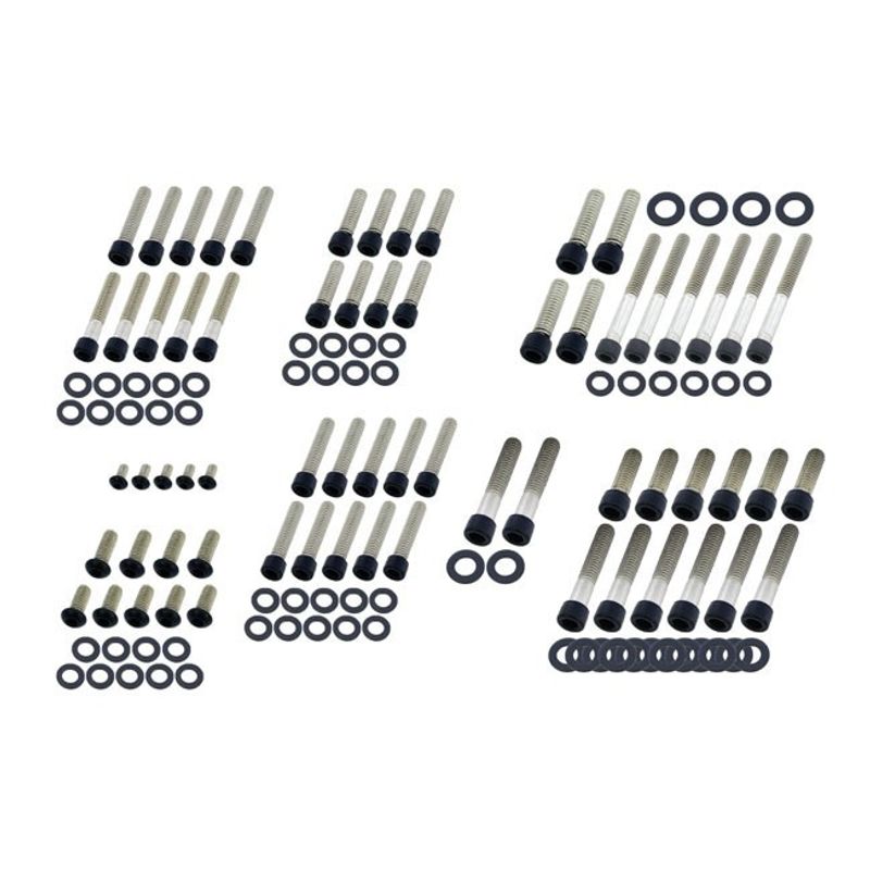 Bultsats Screws4Bikes Engine FLT/Touring 99-06 matt