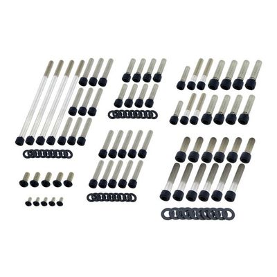 Bultsats Screws4Bikes Engine FLT/Touring 07-16 matt