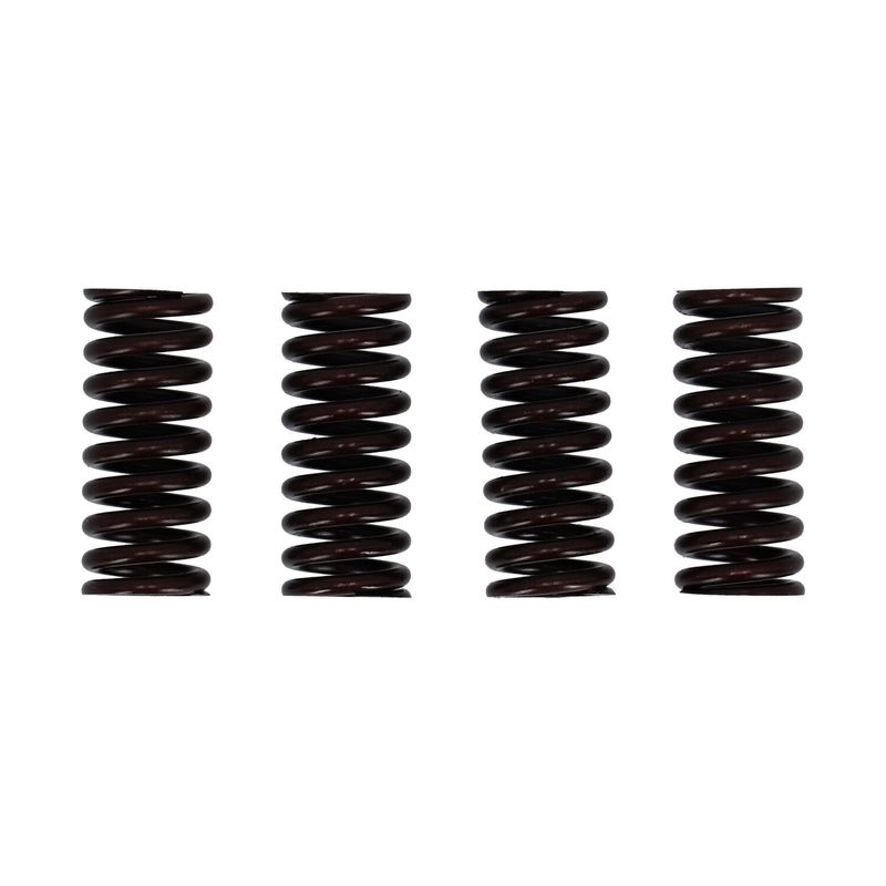 Fjädersats ventil MCS 45" RL, WL, WR SIDEVALVES 32-40 (4-pack)