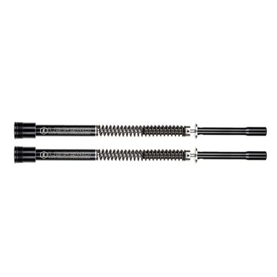 Gaffelpatronsats Legend Air Suspension Axeo 49mm Touring 17-26