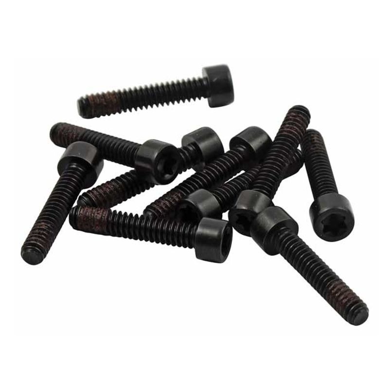 Skruv statorfäste generator MCS Evo Big Twin 89-99 (10-pack)