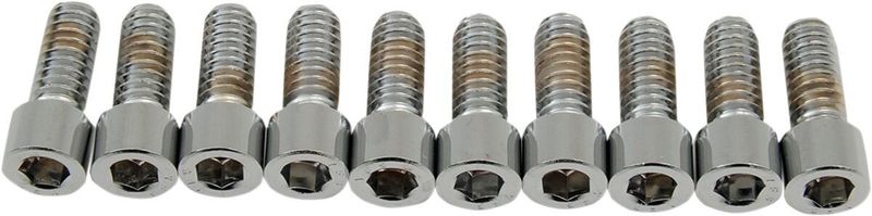 Insexskruvar Drag Specialties 1/4-20X0.625 1/4-20 slät krom (10-pack)