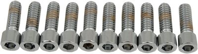 Insexskruvar Drag Specialties 1/4-20X0.75 1/4-20 slät krom (10-pack)