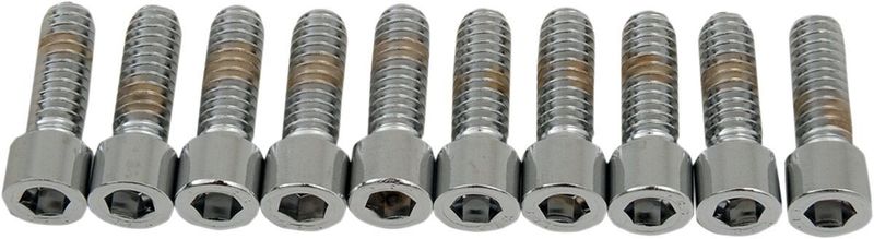 Insexskruvar Drag Specialties 1/4-20X0.75 1/4-20 slät krom (10-pack)