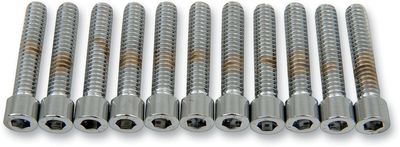 Insexskruvar Drag Specialties 1/4-20X1.25 1/4-20 slät krom (10-pack)