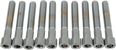 Insexskruvar Drag Specialties 1/4-20X1.5 1/4-20 slät krom (10-pack)