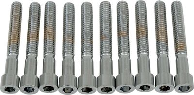 Insexskruvar Drag Specialties 1/4-20X1.75 1/4-20 slät krom (10-pack)