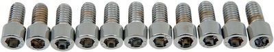 Insexskruvar Drag Specialties 5/16-18X0.625 5/16-18 slät krom (10-pack)