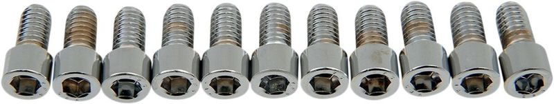 Insexskruvar Drag Specialties 5/16-18X0.625 5/16-18 slät krom (10-pack)