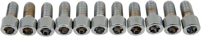 Insexskruvar Drag Specialties 5/16-18X0.625 5/16-18 slät krom (10-pack)