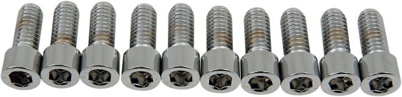 Insexskruvar Drag Specialties 5/16-18X0.75 5/16-18 slät krom (10-pack)