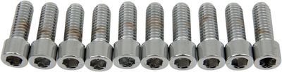 Insexskruvar Drag Specialties 5/16-18X0.875 5/16-18 slät krom (10-pack)