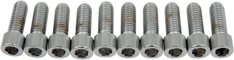 Insexskruvar Drag Specialties 5/16-18X0.875 5/16-18 slät krom (10-pack)