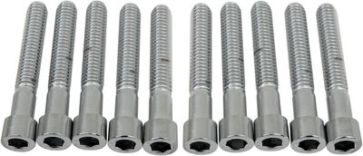 Insexskruvar Drag Specialties 5/16-18X2 5/16-18 slät krom (10-pack)