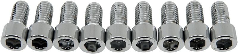 Insexskruvar Drag Specialties 3/8-16X0.75 3/8-16 slät krom (10-pack)