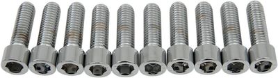 Insexskruvar Drag Specialties 3/8-16X1.25 3/8-16 slät krom (10-pack)