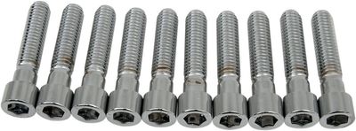 Insexskruvar Drag Specialties 3/8-16X1.75 3/8-16 slät krom (10-pack)