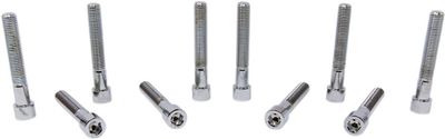 Insexskruvar Drag Specialties Fine 5/16-24X1.75 5/16-24 slät krom (10-pack)