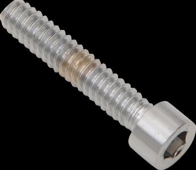 Insexskruvar Drag Specialties 10-24 3/4 slät krom (10-pack)