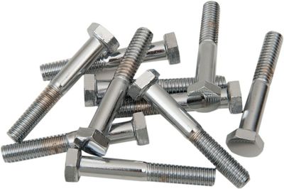Skruvar Drag Specialties Hex-Head 5/16-18X1.75 5/16-18 krom (10-pack)