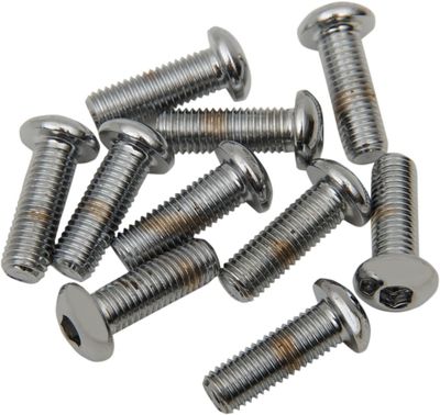 Skruvar Drag Specialties 1/4-28X0.75 1/4-28 kupolhuvud krom (10-pack)