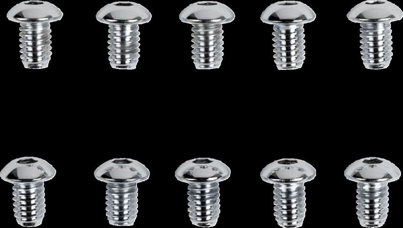 Skruvar Drag Specialties 5/16-18X0.5 5/16-18 kupolhuvud krom (10-pack)