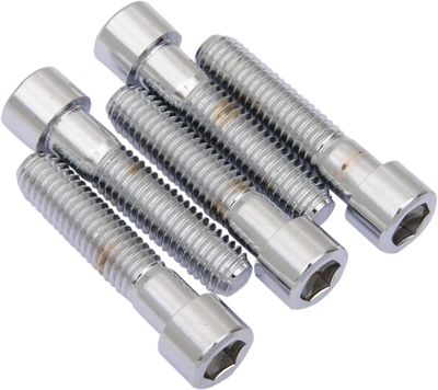 Insexskruvar Drag Specialties Coarse Smoth slät krom (5-pack)