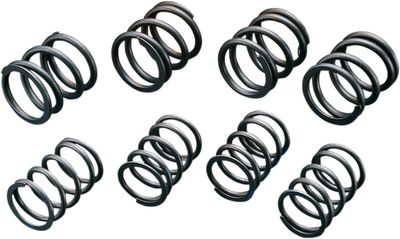 Ventilfjädrar Andrews High-Lift H-D 66-84 (4-pack)