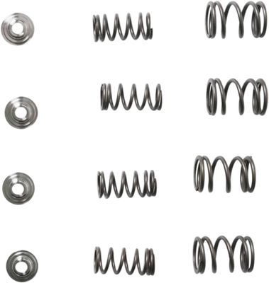 Fjädersats ventil Kibblewhite Lightweight titan Honda Fourtrax / Sportrax 00-13