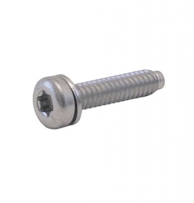 Harley-Davidson Screw,Sems,Pan,Torx,Lock,W/Dog Oem: 1081A