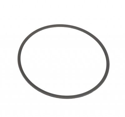 Harley-Davidson Spring,Judder Oem: 37894-02