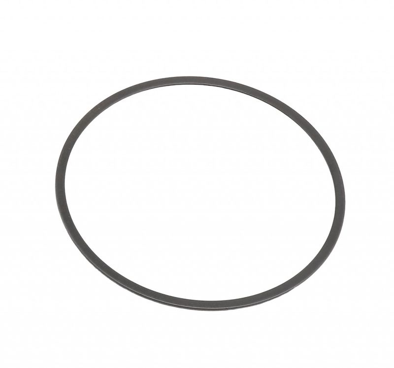 Harley-Davidson Spring,Judder Oem: 37894-02