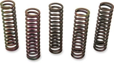 Fjädersats koppling Barnett Kawasaki 98-08, Suzuki 01-04